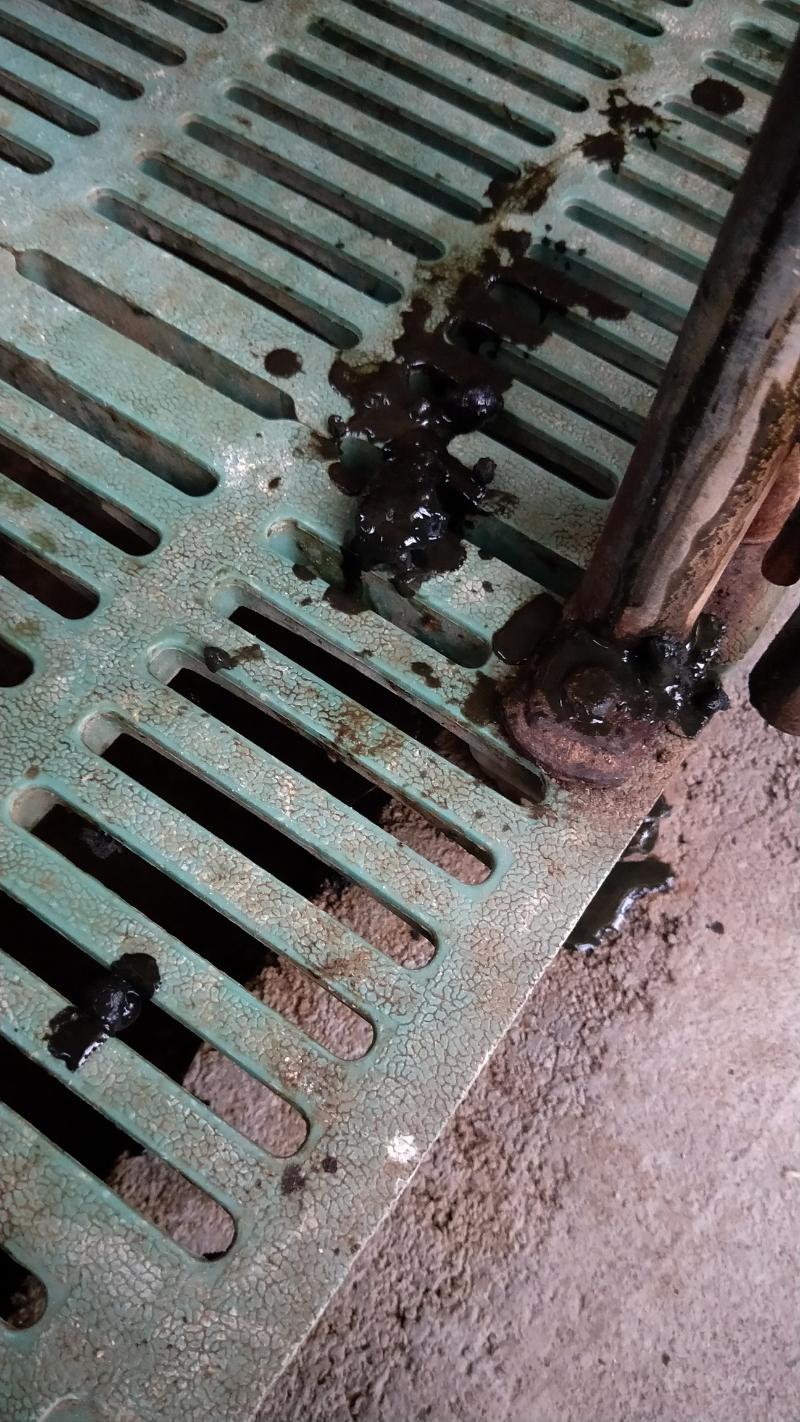 拉黑便,什么病?怎么治疗啊?不吃料,只吃白粥