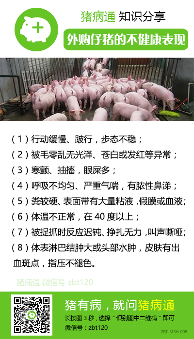 占满朋友圈的猪病通绿色知识卡片都在这里(第五期)