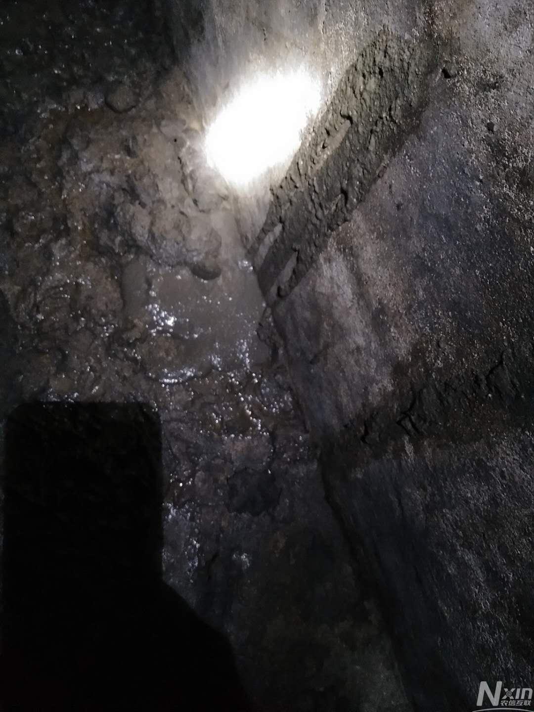 各位老师    猪老是拉稀  拉不消化粪便     吃了粘甘菌素 氟苯尼考