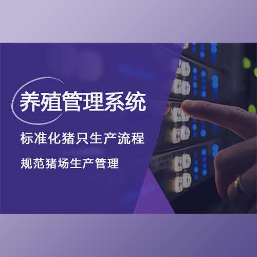 ,标准化猪只生产流程，规范猪场生产管理
